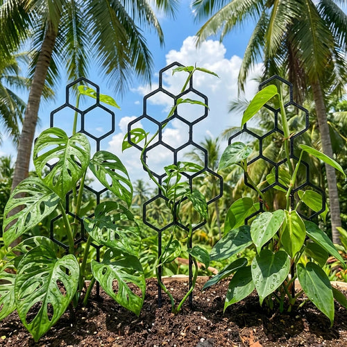 Honeycomb Plant Climbing Support